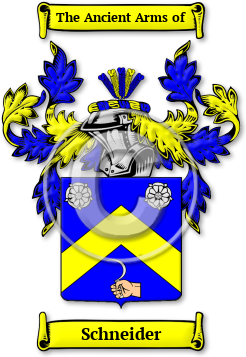 Schneider Family Crest Download (JPG) Legacy Series - 600 DPI