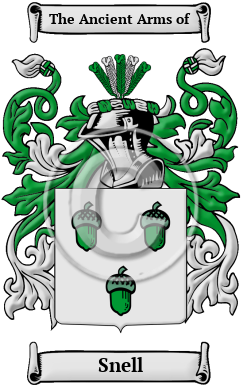 Snell Family Crest Download (JPG) Heritage Series - 600 DPI