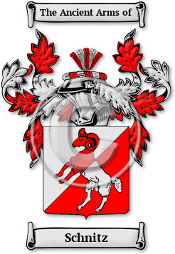 Schnitz Family Crest Download (jpg) Legacy Series - 150 DPI