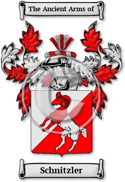 Schnitzler Family Crest Download (jpg) Legacy Series - 150 DPI