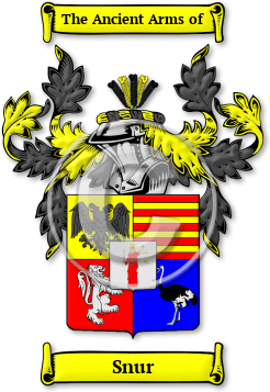 Snur Family Crest Download (jpg) Legacy Series - 150 DPI