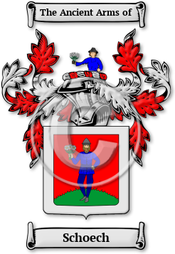 Schoech Family Crest Download (jpg) Legacy Series - 150 DPI
