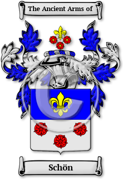 Schön Family Crest Download (JPG) Legacy Series - 600 DPI