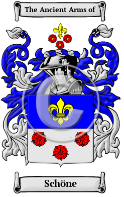 Schöne Family Crest/Coat of Arms
