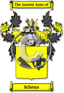 Schena Family Crest Download (jpg) Legacy Series - 150 DPI