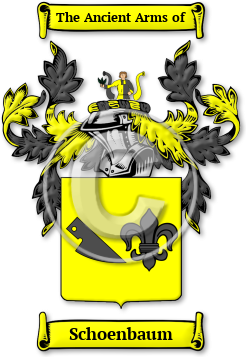 Schoenbaum Family Crest Download (JPG) Legacy Series - 600 DPI