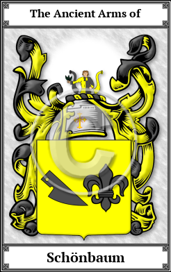 Schönbaum Family Crest Download (JPG)  Book Plated - 150 DPI