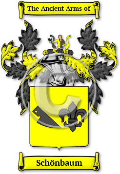 Schönbaum Family Crest Download (jpg) Legacy Series - 150 DPI