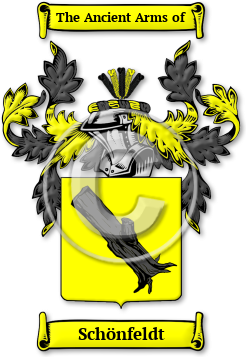 Schönfeldt Family Crest Download (jpg) Legacy Series - 150 DPI