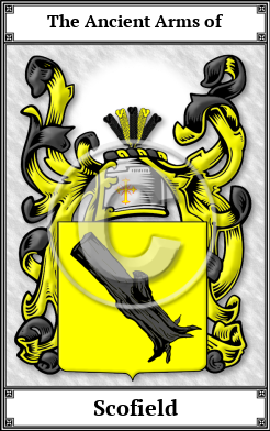 Scofield Family Crest Download (JPG) Book Plated - 600 DPI