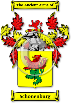 Schonenburg Family Crest Download (jpg) Legacy Series - 150 DPI