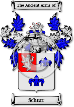 Schurr Family Crest Download (JPG) Legacy Series - 600 DPI