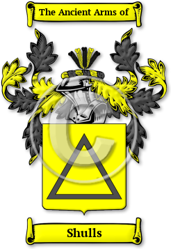 Shulls Family Crest Download (JPG) Legacy Series - 600 DPI