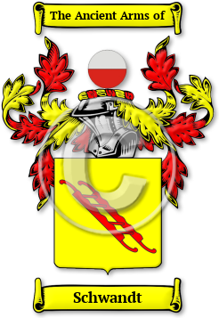 Schwandt Family Crest Download (jpg) Legacy Series - 150 DPI