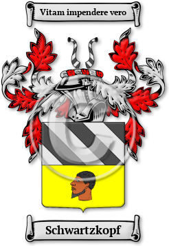 Schwartzkopf Family Crest Download (jpg) Legacy Series - 150 DPI