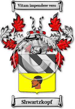 Shwartzkopf Family Crest Download (JPG) Legacy Series - 600 DPI