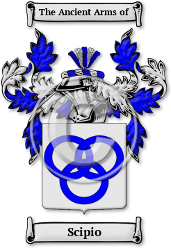 Scipio Family Crest Download (jpg) Legacy Series - 150 DPI