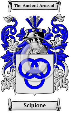Scipione Family Crest/Coat of Arms