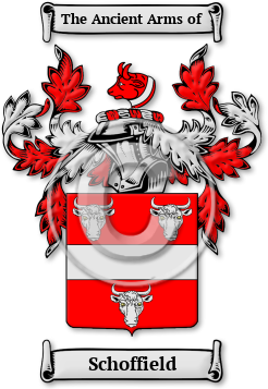 Schoffield Family Crest Download (jpg) Legacy Series - 150 DPI