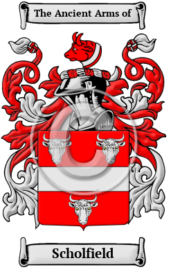 Scholfield Family Crest Download (JPG) Heritage Series - 600 DPI