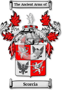 Scorcia Family Crest Download (jpg) Legacy Series - 150 DPI