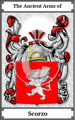 Scorzo Family Crest Download (JPG)  Book Plated - 150 DPI