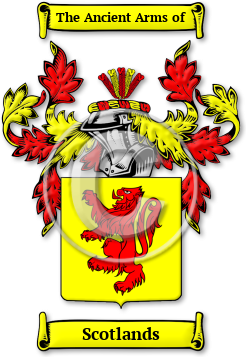 Scotlands Family Crest Download (jpg) Legacy Series - 150 DPI