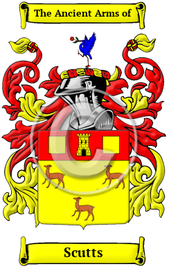 Scutts Family Crest Download (JPG) Heritage Series - 600 DPI