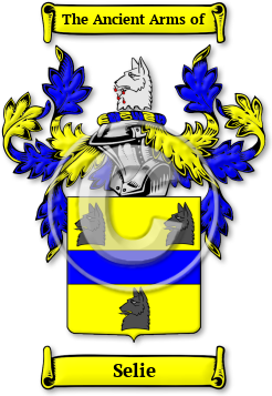 Selie Family Crest Download (JPG) Legacy Series - 600 DPI