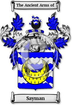 Sayman Family Crest Download (jpg) Legacy Series - 150 DPI