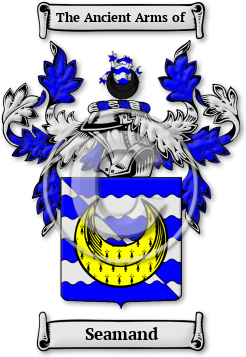 Seamand Family Crest Download (JPG) Legacy Series - 600 DPI
