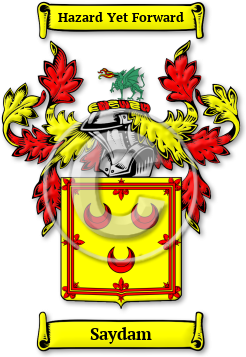 Saydam Family Crest Download (jpg) Legacy Series - 150 DPI