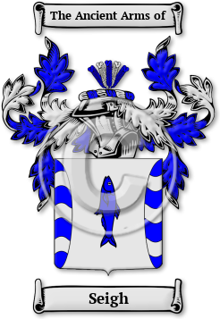 Seigh Family Crest Download (jpg) Legacy Series - 150 DPI