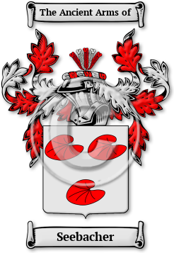 Seebacher Family Crest Download (jpg) Legacy Series - 150 DPI