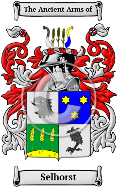 Selhorst Family Crest Download (JPG) Heritage Series - 600 DPI