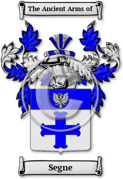 Segne Family Crest Download (JPG) Legacy Series - 600 DPI