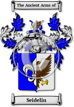 Seidelin Family Crest Download (JPG) Legacy Series - 600 DPI