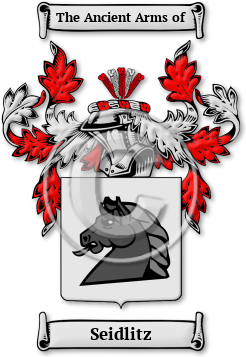Seidlitz Family Crest Download (jpg) Legacy Series - 150 DPI