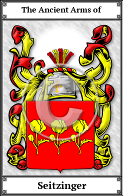 Seitzinger Family Crest Download (JPG)  Book Plated - 150 DPI