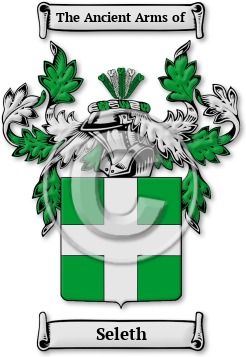 Seleth Family Crest Download (jpg) Legacy Series - 150 DPI