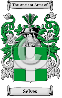 Selves Family Crest/Coat of Arms