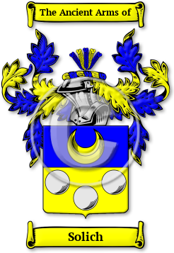 Solich Family Crest Download (JPG) Legacy Series - 600 DPI