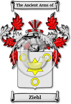 Ziehl Family Crest Download (jpg) Legacy Series - 150 DPI