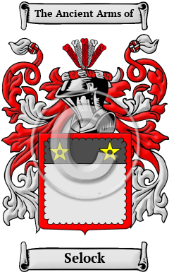 Selock Family Crest/Coat of Arms