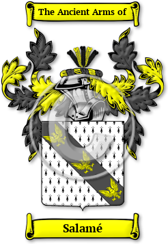 Salamé Family Crest Download (jpg) Legacy Series - 150 DPI