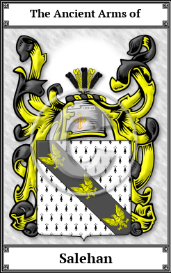 Salehan Family Crest Download (JPG)  Book Plated - 150 DPI