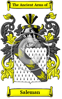 Saleman Family Crest Download (JPG) Heritage Series - 600 DPI