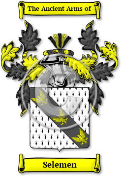 Selemen Family Crest Download (jpg) Legacy Series - 150 DPI