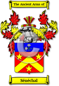 Sénéchal Family Crest Download (jpg) Legacy Series - 150 DPI
