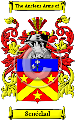 Senéchal Family Crest/Coat of Arms